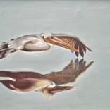 Collection Eggs and Feathers