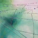 Collection Dew on Webs