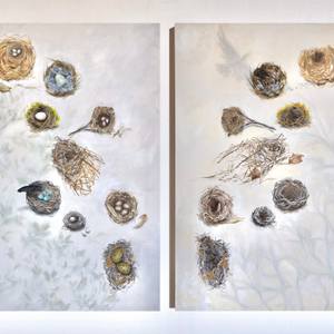 Collection Eggs and Feathers