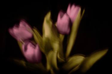 Original Abstract Expressionism Floral Photography by Françoise Chadelas