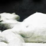 Woman Asleep by Frank Kenis