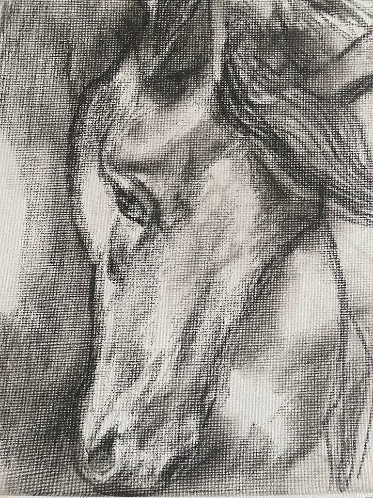 Original Figurative Animal Drawing by Sophie Venturini