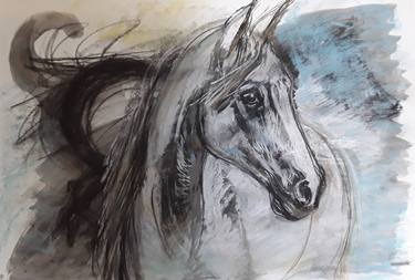 Original Horse Drawings by Sophie Venturini