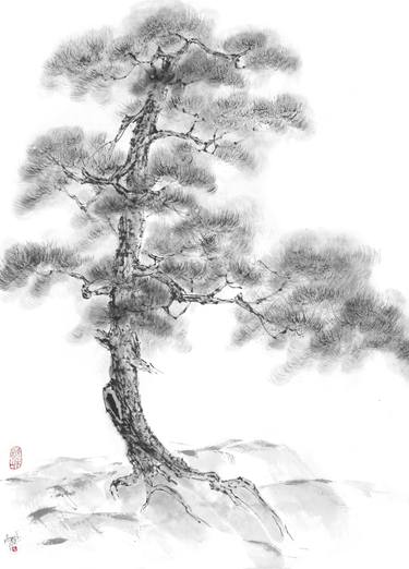 Lone Pine Tree thumb