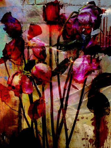 Original Abstract Floral Photography by Carol Levin