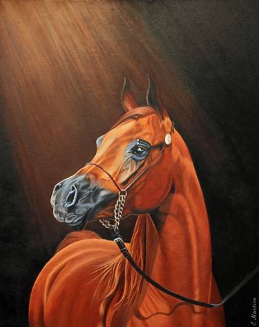Original Horse Paintings by Elena Martino