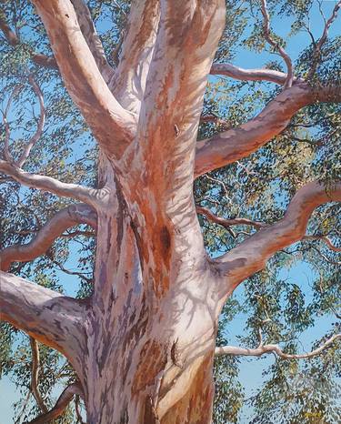 Original Fine Art Tree Paintings by Margaret Hadfield