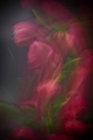 Original Abstract Photography by Sonia Levesque