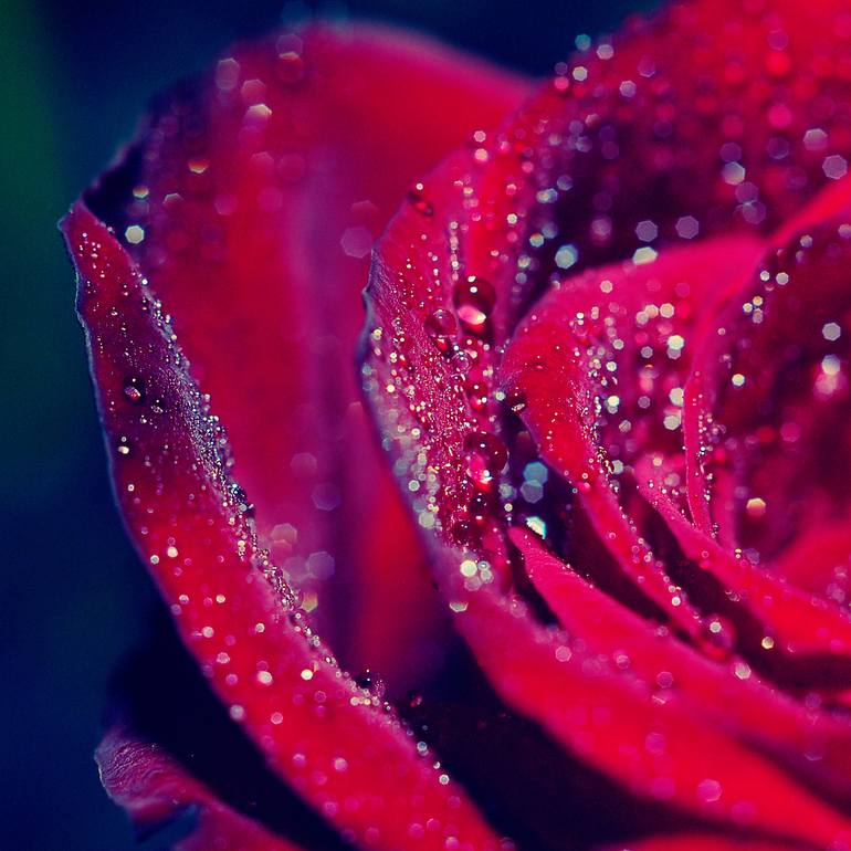 Original Conceptual Floral Photography by Eleanne Grey