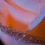 Closeup