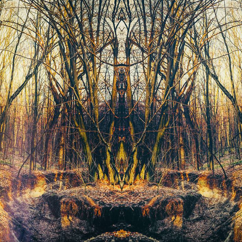 Original Abstract Nature Photography by Eleanne Grey