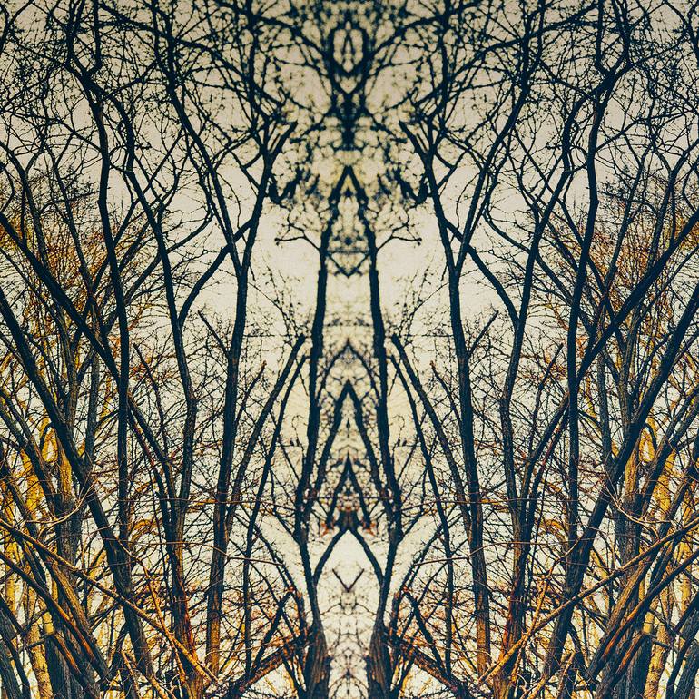 Original Abstract Nature Photography by Eleanne Grey
