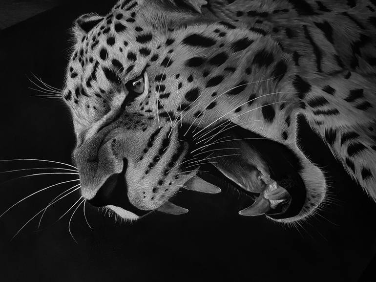 Original Photorealism Animal Drawing by Nadeesha wijesundara