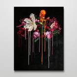 Lilium 2019 by stephen mckenzie