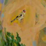 The Goldfinch by Jack Cameron