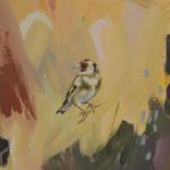 The Goldfinch 2 by Jack Cameron