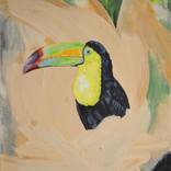 Toucan 2 by Jack Cameron