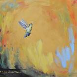 Hummingbird 8 by Jack Cameron