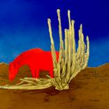 Collection Fall Flora & Fauna