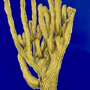 Collection Featured Drawings