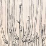 Tired of Growing Eternally by Yanin Ruibal