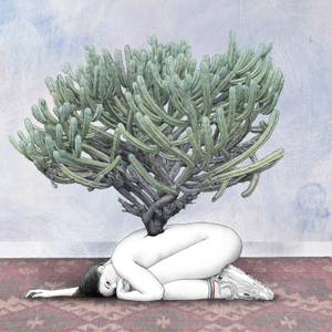 Collection December 2019