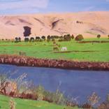 Collection Israeli paintings