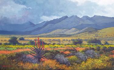 Aloes in The Swartberg thumb