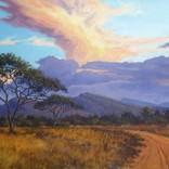 Bush Veld with Ascending Clouds by Richardt Beyleveld