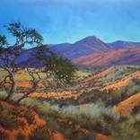 Rugged Tankwa Karoo Rolling Hills with Tree by Richardt Beyleveld