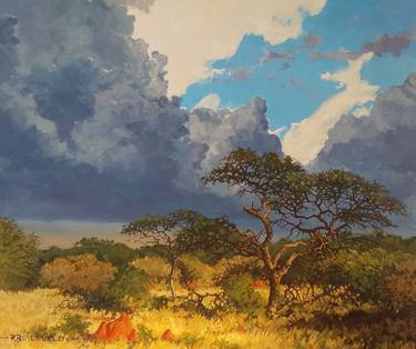 Dramatic Cloudscape with Bushveld Savanna thumb