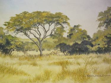 Monateng Bushveld Scene thumb