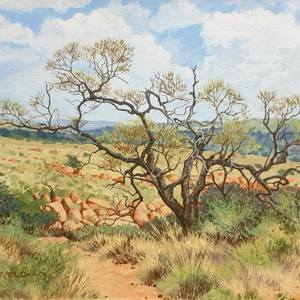 Collection International Spotlight: South Africa