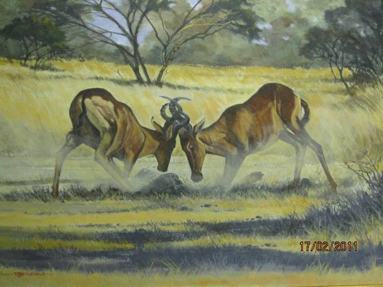 Original Animal Painting by Richardt Beyleveld  Illustration Art on Canvas  Conflict