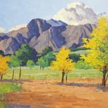 Collection International Spotlight: South Africa