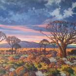 Collection International Spotlight: South Africa