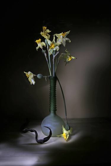 Original Still Life Photography by Gianfranco Marsaglia