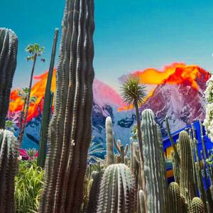 Collection Best of Photography 2019