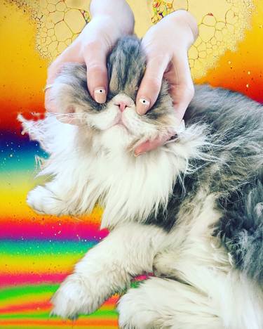 The Universe Experiencing Itself Through The Eyes Of A Cat - Limited Edition of 5 thumb