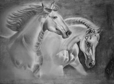 Original Animal Drawings by Pankaj Bhagat