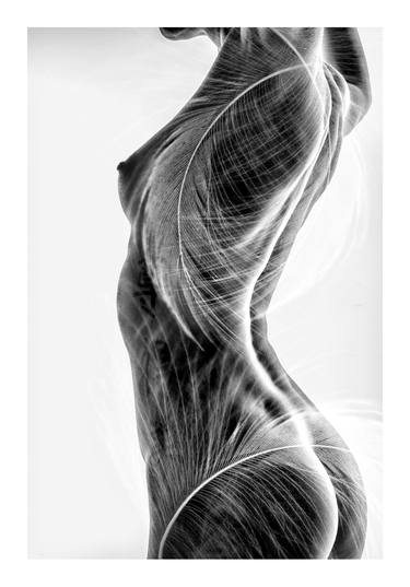 Print of Fine Art Nude Photography by Brian Morris