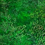 Collection Color Story: Clover Green