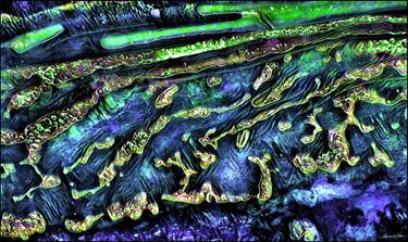 Original Expressionism Abstract Photography by Lawrence White