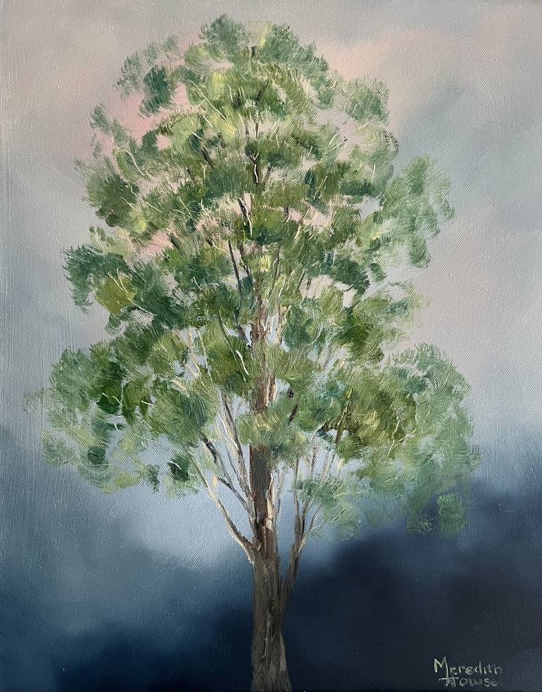 Original Contemporary Nature Paintings by Meredith Howse
