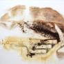 view additional image 1