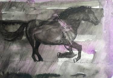 Print of Horse Drawings by mauna Zare