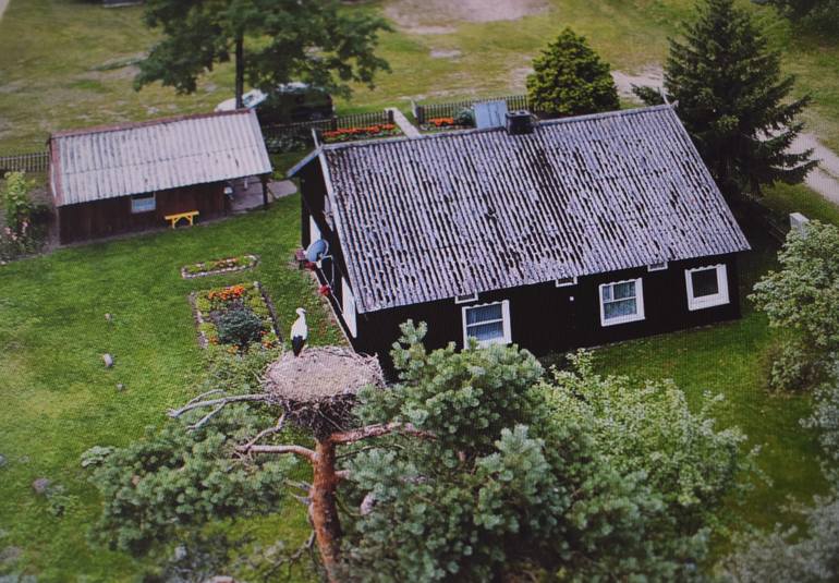 Original Documentary Nature Photography by Saulius Zaura