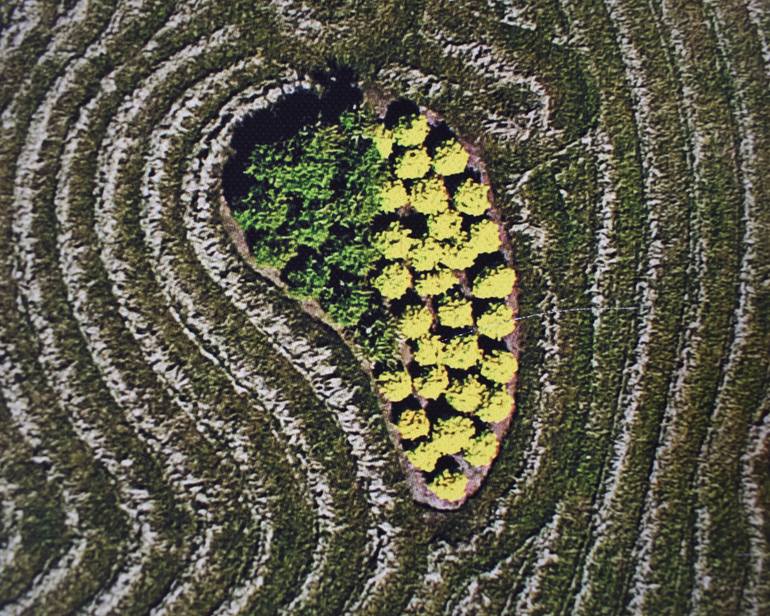 Original Abstract Expressionism Other Photography by Saulius Zaura