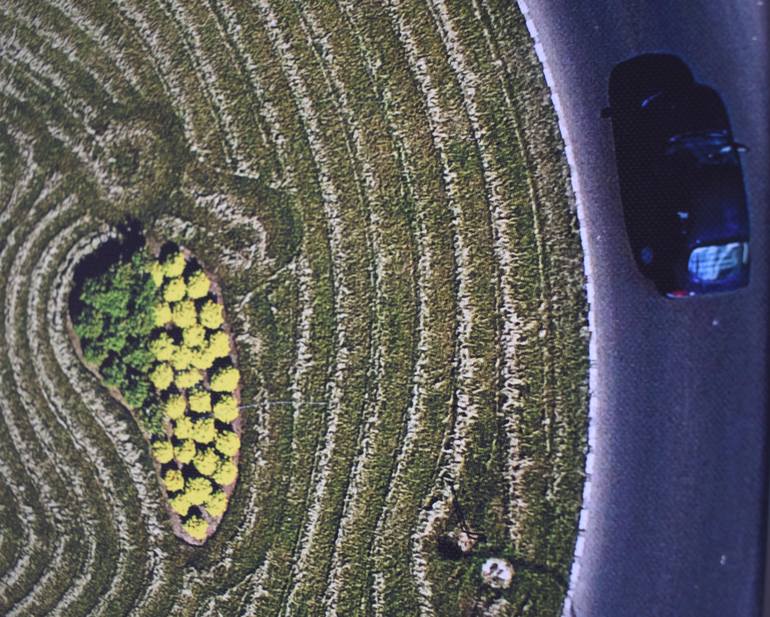 Original Abstract Expressionism Other Photography by Saulius Zaura