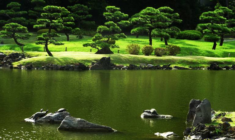 Kyu Shiba Rikyu Garden Photography By Jono Wilkes Saatchi Art